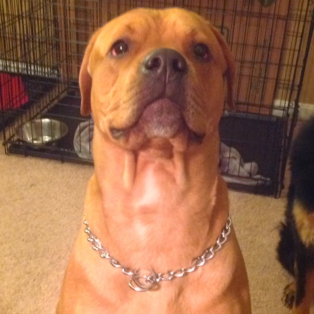 Meet your Posher, Wes - Picture 5 of 9